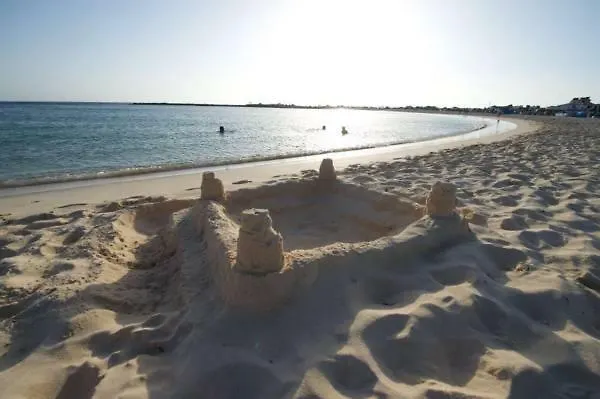 Flower 25 Appartement *